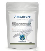 Amoxicure 100gr - amoxicillin 10% - CuMed Pharma Amoxicure 100gr - amoxicillin 10% - CuMed Pharma