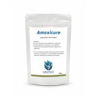 Amoxicure 100gr - amoxicillin 10% - CuMed Pharma