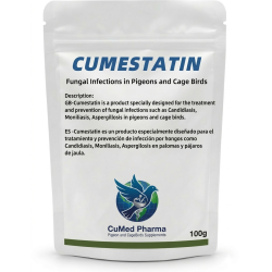 Cumestatin 100g - fungal issues - Candidiasis - by CuMed Pharma