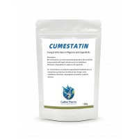 Cumestatin 100g - fungal issues - Candidiasis - by CuMed Pharma