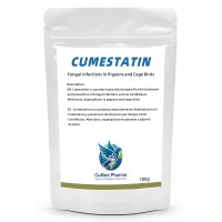 Cumestatin 100g - fungal issues - Candidiasis - by CuMed Pharma