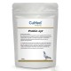 Probio-Lyt 100g by CuMed Pharma - Probiotic, Electrolyte & Recovery Formula Probio-Lyt 100g by CuMed Pharma - Probiotic, Electrolyte & Recovery Formula