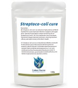 Streptoco-Coli Cure 100g - Advanced Young Bird Disease Treatment - by CuMed Pharma Streptoco-Coli Cure 100g - Advanced Young Bird Disease Treatment - by CuMed Pharma