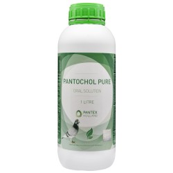 Pantochol Pure 1 Litre - breeding - racing season - by Pantex