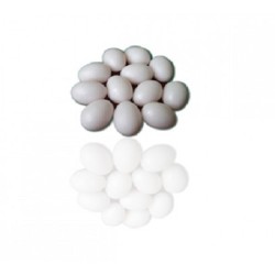 Dummy Eggs for pigeons- 10pk