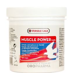 Muscle Power 150 caps - Muscle - Recovery - by Oropharma-Versele Laga