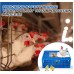 Racing Pigeons Transport 3 Door CAGE COOP Crate Chicken Quail Pigeons