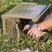 Crate Transport Box for Racing Pigeons