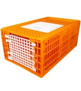 Racing Pigeons Transport Crate - 28 Pigeons