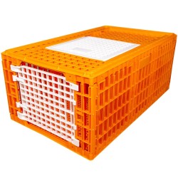 Racing Pigeons Transport Crate - 28 Pigeons