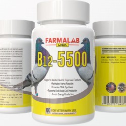 B12-5500 para Palomas, Pigeon Vitamin Supplement 60 Tablets Farmalab B12-5500 para Palomas, Pigeon Vitamin Supplement 60 Tablets Farmalab