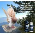 Fast Pigeon Supplement Liquid for Pigeon - Vitamin Minerals for Birds 60 ml