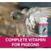 MULTIVIT Pigeon para palomas 100 Tabs Vitamins Minerals Aminoacids for Racing Pigeons