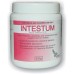 Intestum by Medpet