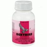 DoxyBird - respiratory tract - Ornithosis - by Medpet