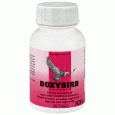 DoxyBird - respiratory tract - Ornithosis - by Medpet