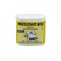 Multivit B12 - Recovery - by DAC