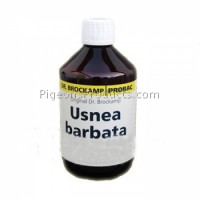 Usnea Barbata by Dr. Brockamp