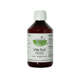 Vita Duif by Herbots Vita Duif by Herbots